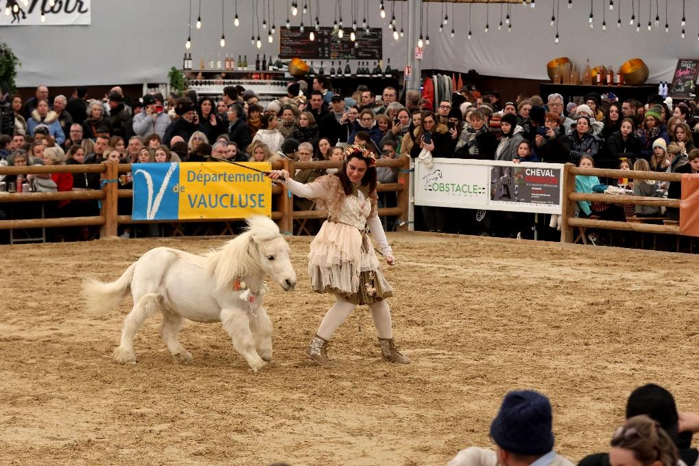 © Jérôme REY Cabaret Equestre